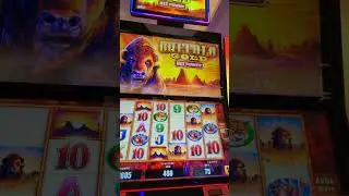 Trying 3 spin luck BUFFALO MAX POWER First try at SKY RIVER #gambling #casino #shorts