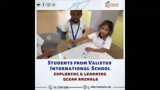 Science integration with STEM Subject: Ocean animals