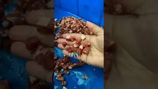 #350 dicing machine #slicing and dicing machine #meat processing equipment #dicing machine