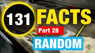 131 Facts You Never Knew You Wanted to Know