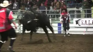 K's Thomson - Glen Keeley Memorial Junior Bull Riding Champ