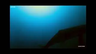 Flower Stockins- by Lil $pinich official video