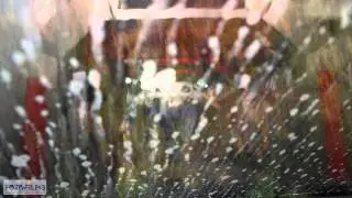 AUTUMN IN THE CARWASH ..