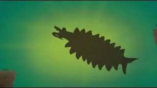 Cambrian, Cradle of the Phanerozoic