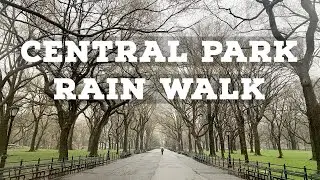 Walking Alone in the Rain in Central Park | NYC Rain Walk
