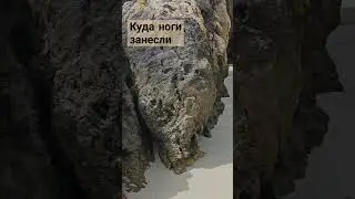 вот где я лажу #одесситкавшвейцарии #отпуск #гдеялажу