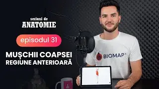 Mușchii din regiunea anterioară a coapsei @Sesiuni de ANATOMIE - ep.31