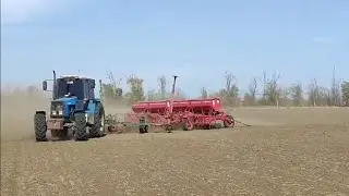 Сев пшеницы озимой.2025.