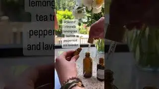 Scientists PROVED This Natural Bug Spray Works! (DEET-Free DIY Recipe 2025)