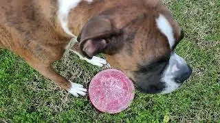 Last play for the day, and clean water.