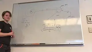 Defecation Reflex