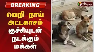 #BREAKING | வெறி நாய் அட்டகாசம் - குச்சியுடன் நடக்கும் மக்கள் |  | Dog attack