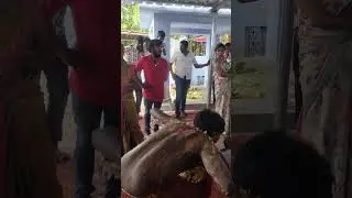 #trending #viralvideos #kovil 🙏🙏#function #video #tirunelveli #vlog #youtubeshorts