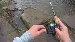 Pêche de la truite en corrèze