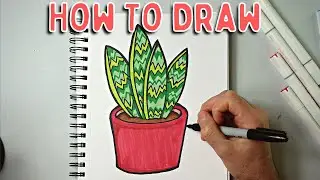 How to Draw a House Plant Easy (snake plant)