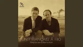 Un fran&ccedil;ais &agrave; Rio - En hommage &agrave; Auric