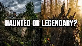 Hiking the legendary Betty Kenny Tree | Shining Cliff Woods Adventure