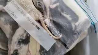 Reptile Deli Unboxing Review frozen rats for Ball Pythons
