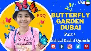 UAE Tour | Butterfly Garden Dubai |Part 3| Dubai King Picture | Butterfly Gallery | Starbuck @EKQ.