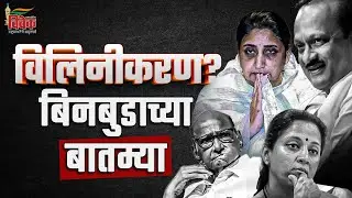 विलिनीकरण? बिनबुडाच्या बातम्या