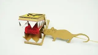 SIMPLE DIY Rat Trap from Cardboard
