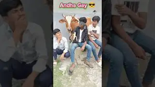 Andhra Gay 😎