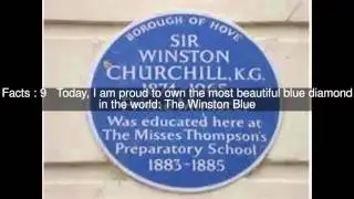The Winston Blue Top  #15 Facts