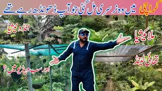 Cheapest plants 🌱 in Karachi || Imported nursery plants in karachi || Nursery Plants Business 🧑&zwj;💼