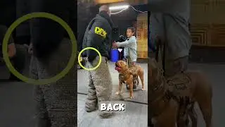 MILITARY PITBULL SHOWS UNBELIEVABLE LOYALTY 🔥