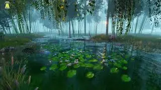 Lo stagno dei Loto 😍 Suoni e rumori della natura rilassanti
