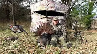 2023 central Wisconsin spring turkey hunt with the bow 3rd week