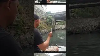 Strike Wader Kepek - mancing wader di air jernih sarang ikan wader #mancing #mancingwader