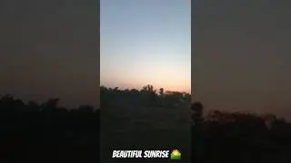 sunrise 🌄 ♻️         #sunrise #wildlife