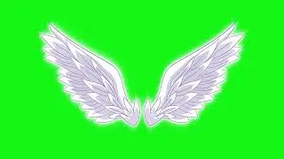 Green Screen Angels Wings Bird Wings Flapping Wings 4K UHD
