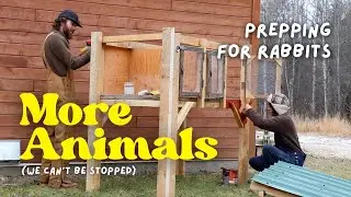 Building Our First Rabbit Hutch For Self-Sufficiency (Homestead DIY)