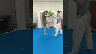 Hudson Valley Muay Thai: Knee Defense