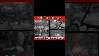 Nidhivan Ki Raat Ka Rahasya: Bhagwan Krishna Aur Radha Rani Ka Divya Darshan