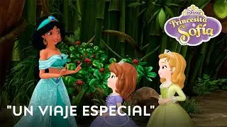 Un viaje especial: Princesita Sofía | Video musical | Disney