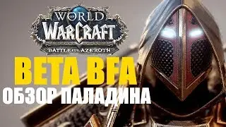 BETA BFA ● БОЛЬШОЙ ОБЗОР ПАЛАДИНА