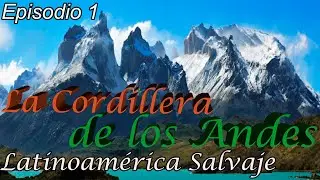 La cordillera de los Andes || Latinoam&eacute;rica Salvaje