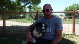 NuVet Plus Review - Why I will continue to use NuVet Plus