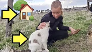 🏡OUR FUTURE HOME and a NEW PET!! 🐈