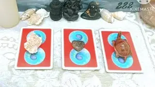 🌹Pick a card🌹Your 1st meeting with your destined partner🤝💓#pickacard