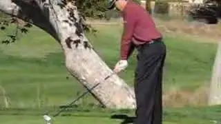 Billy Andrade's Golf Swing