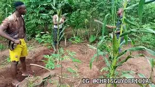 CHRISGUY &mdash;TEKNO BETTER COVER (ChrisMediaDiary)