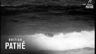 Freshwater Surf (1956)