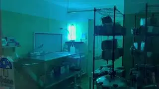 Setas Mushrooms - Starting up our mycology laboratory