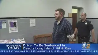 Driver Faces Sentencing In Deadly Hit-And-Run