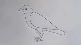 how to draw crow drawing easy step by step@Kids Drawing Talent