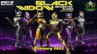 Spider's nest incubator relaunch | Black Widow Incubator Return | February 2022 Incubator Return